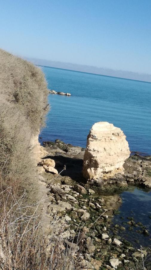 B&B Villa Mediterranee Con Parking Space トラーニ エクステリア 写真