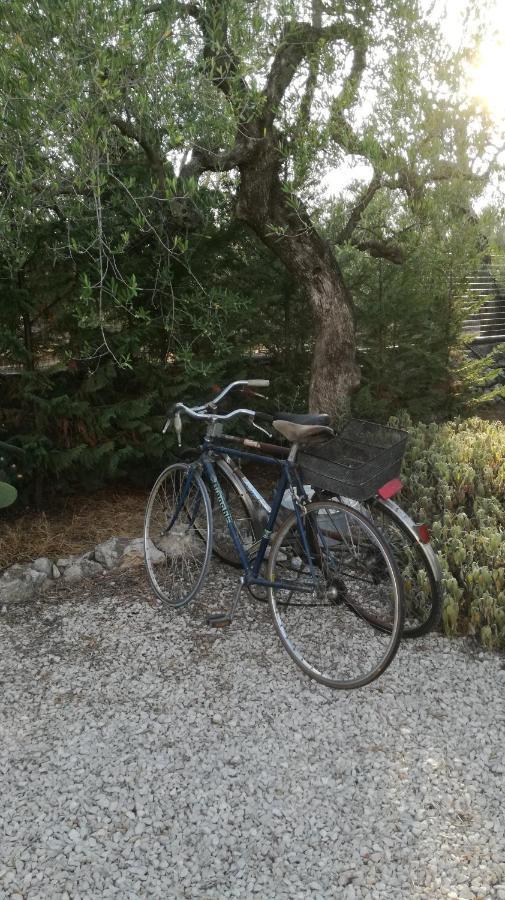 B&B Villa Mediterranee Con Parking Space トラーニ エクステリア 写真