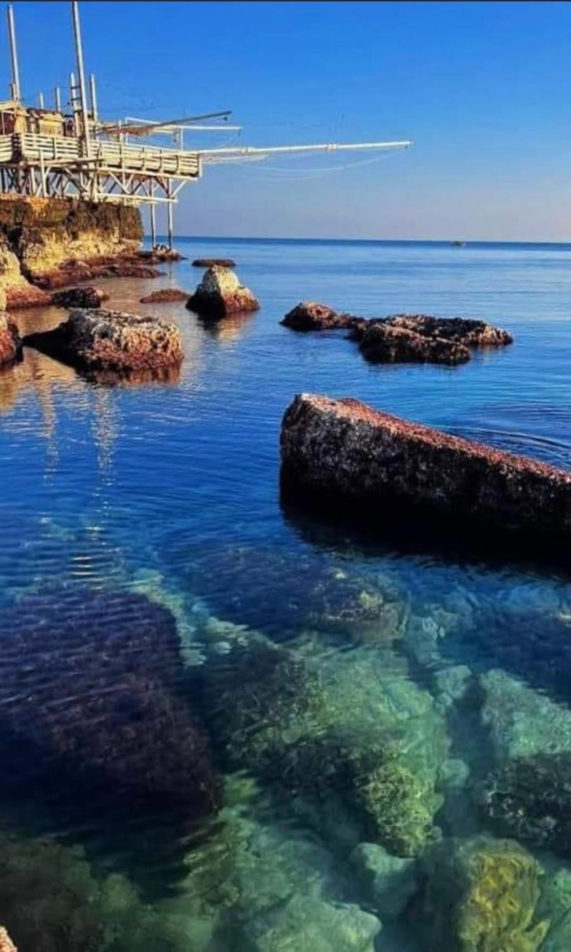 B&B Villa Mediterranee Con Parking Space トラーニ エクステリア 写真