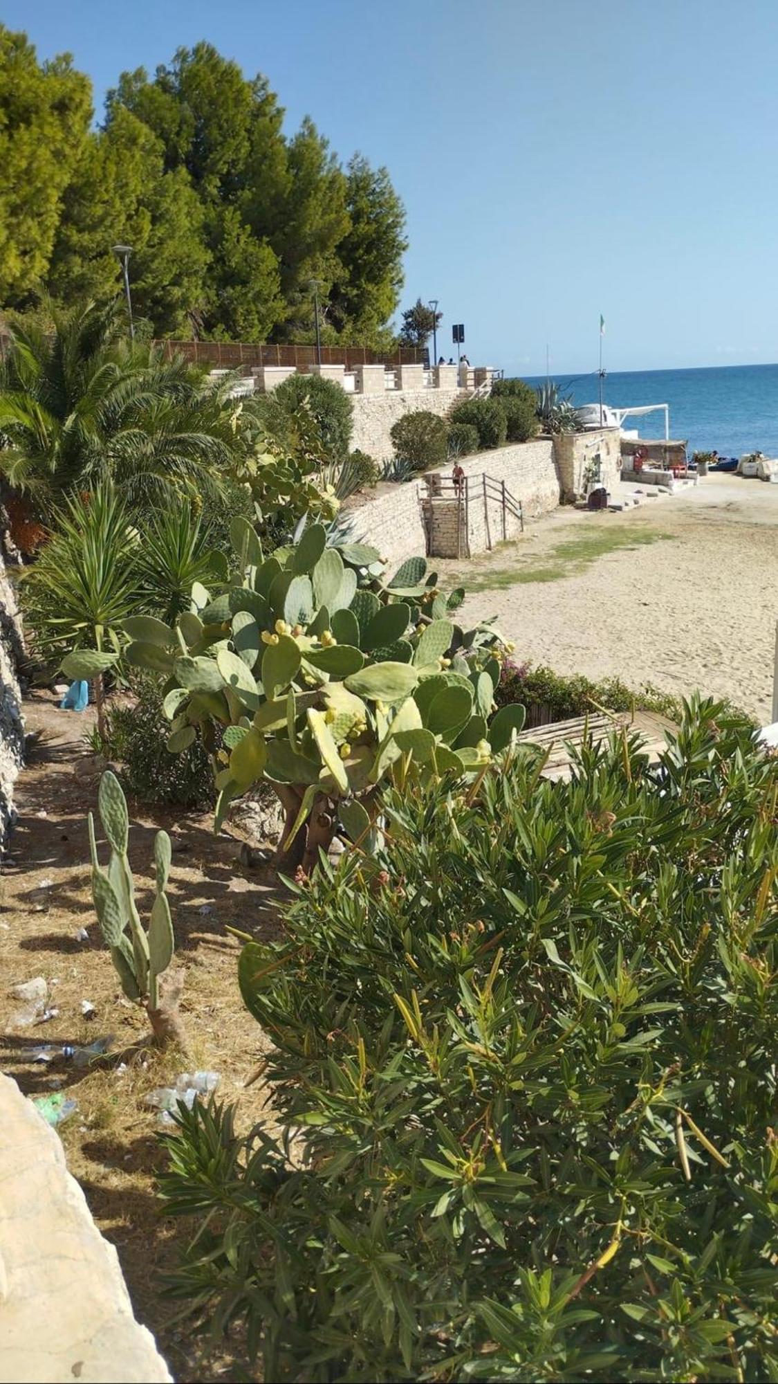 B&B Villa Mediterranee Con Parking Space トラーニ エクステリア 写真