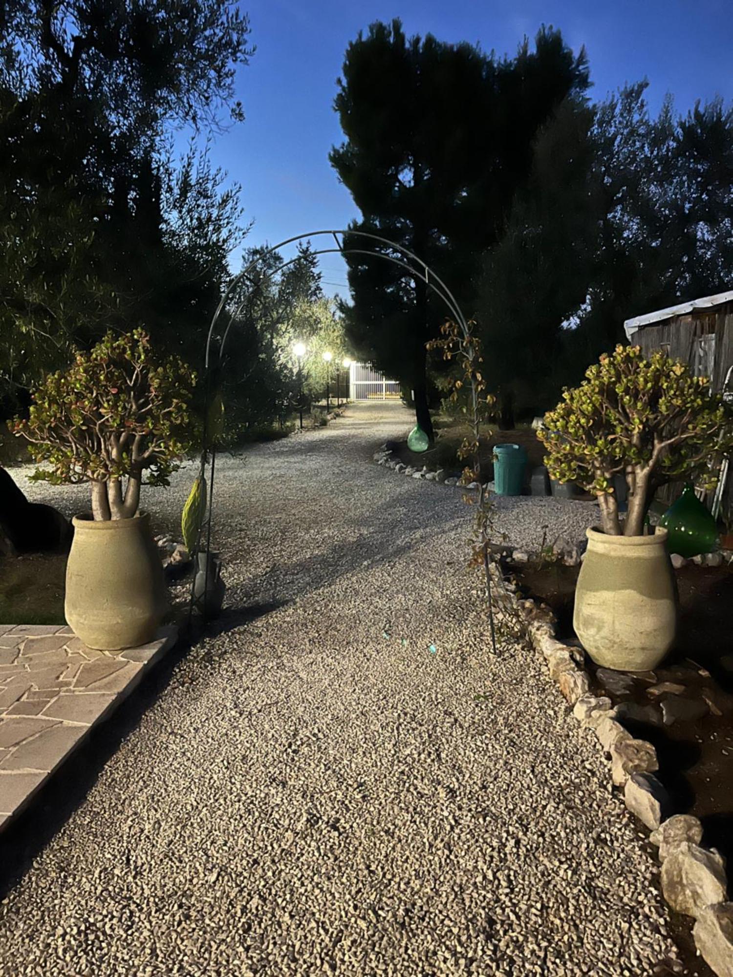 B&B Villa Mediterranee Con Parking Space トラーニ エクステリア 写真